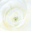 Save the Date! September 2, 2011